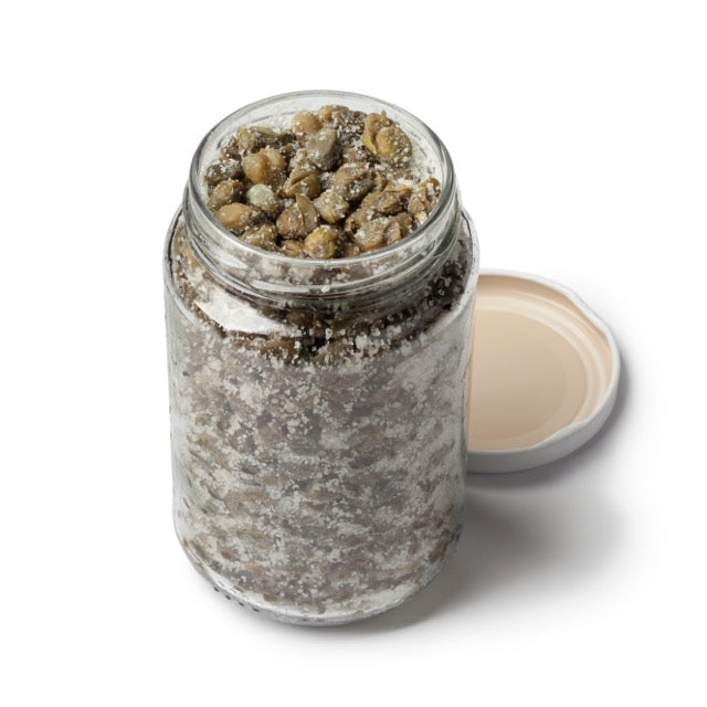 🎁 Bio Kapern in Salzlake35g (100% off)